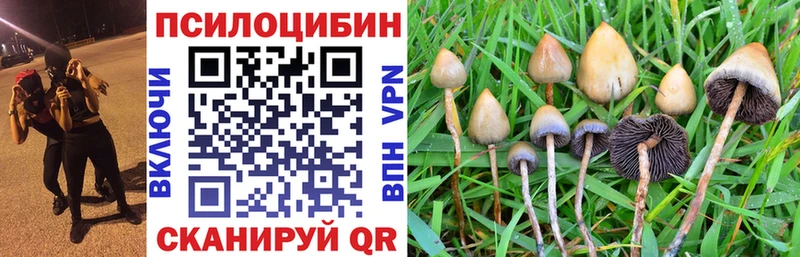 Псилоцибиновые грибы ЛСД  цена наркотик  Черняховск 